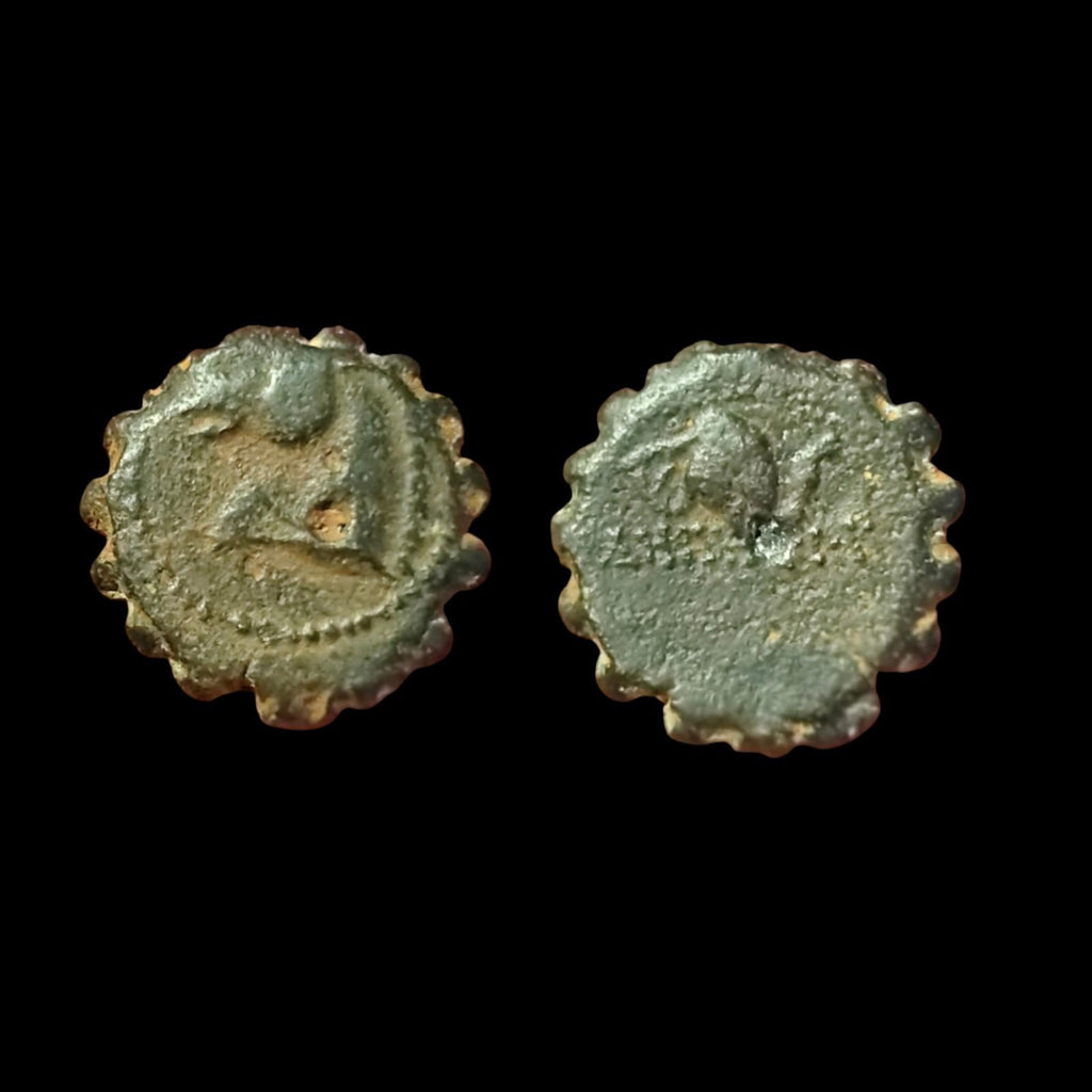 塞琉古王国，青铜币17。德米特里一世·索特尔，公元前162-150年。马与象头。