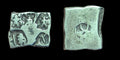 India ⭐ INDUS Valley Mayuriyan Punch ⭐ silver Coin 300 BC, 3 Monk, Elephant, OX