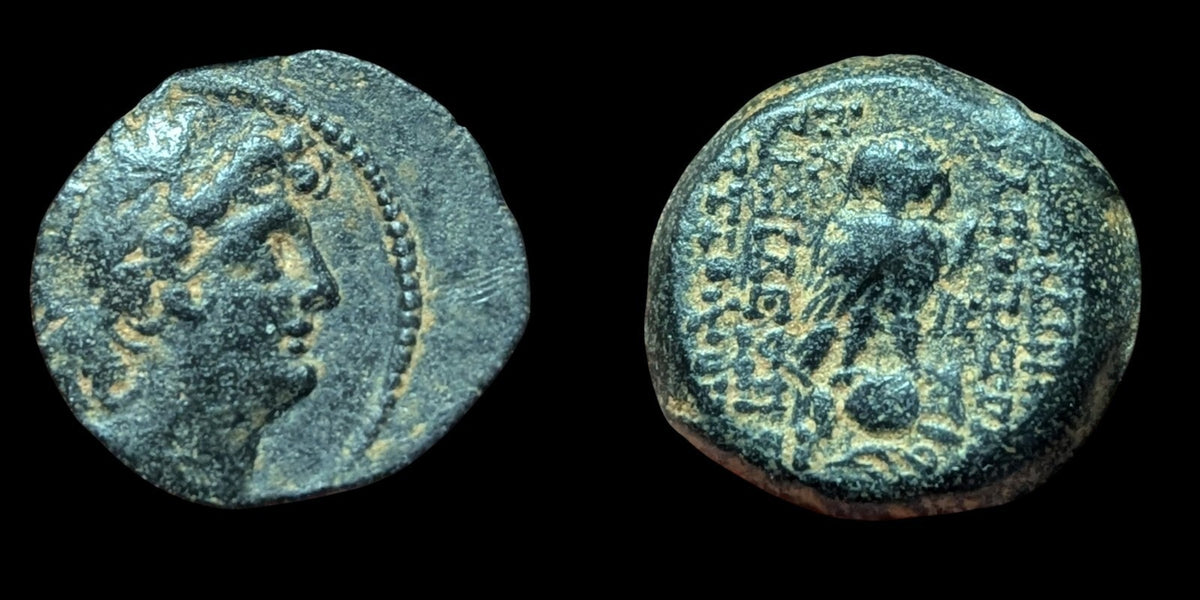 Seleucid Kingdom Cleopatra Thea Antiochos VIII OWL Ancient Greek Coin