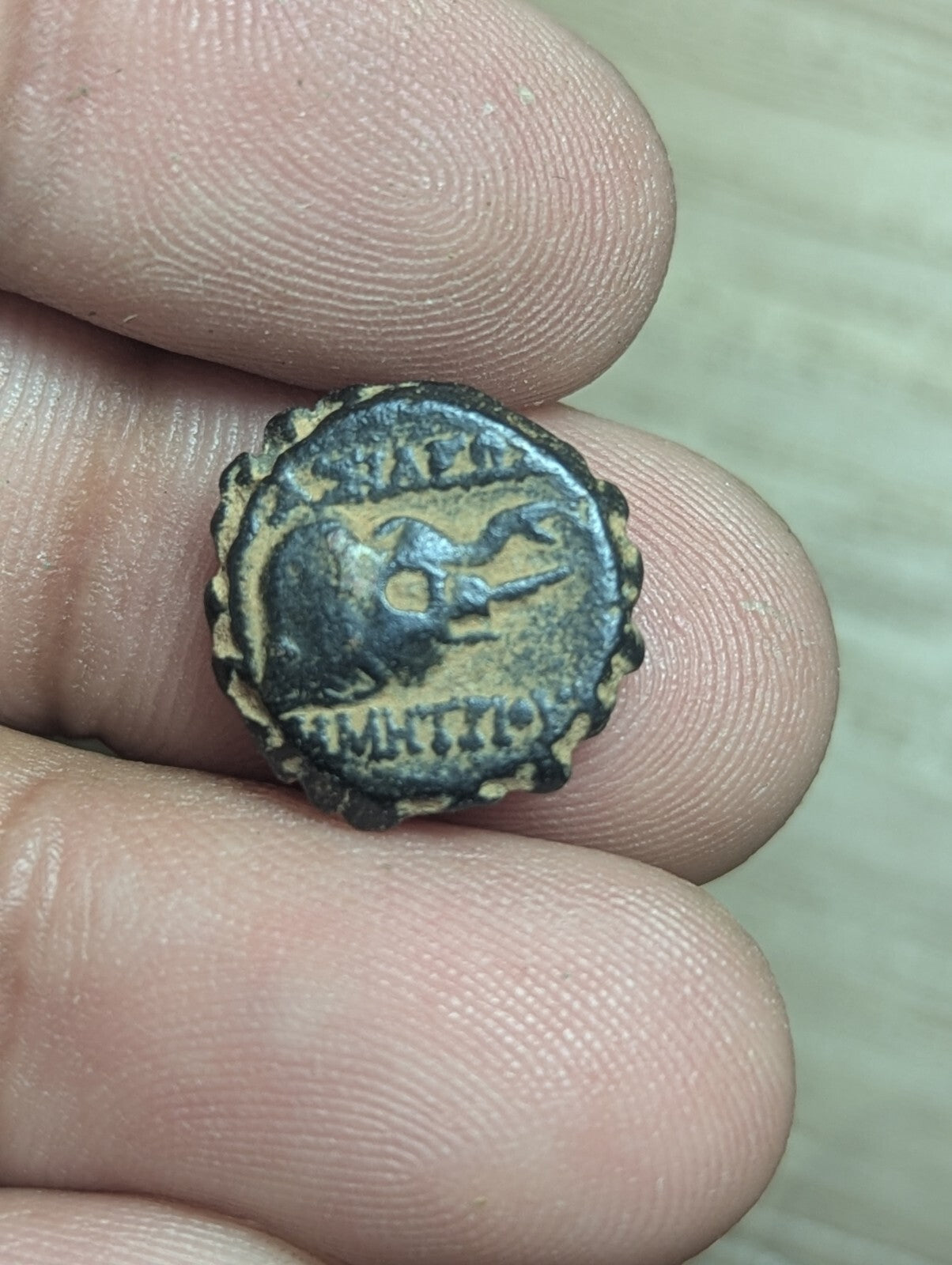 塞琉古王国，青铜17。德米特里一世·索特，公元前162-150年。马和象头。