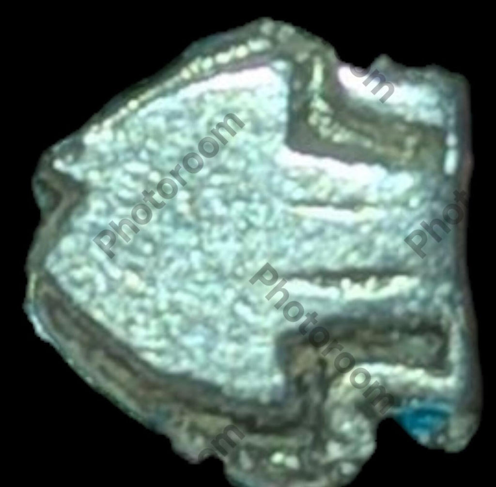 India Bengal INDUS Valley Mayuriyan Punch silver Coin 300 BC FISH Symbol