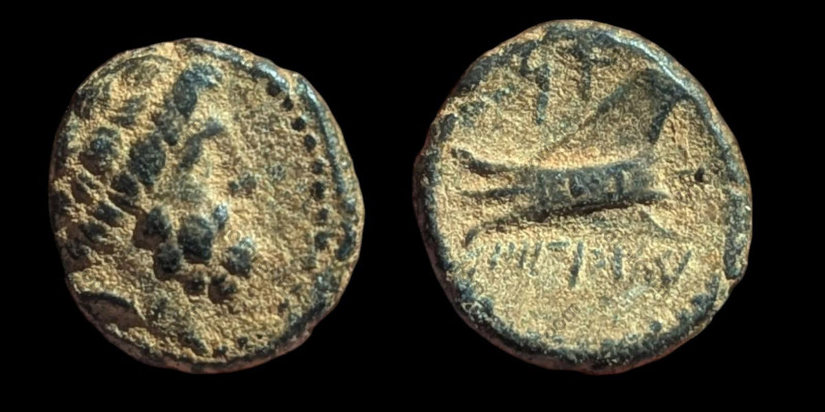 Monnaie grecque antique en bronze (Æ), 137-51 av. J.-C., Phénicie, Arados, Bronze, SNG-Cop:36-44#
