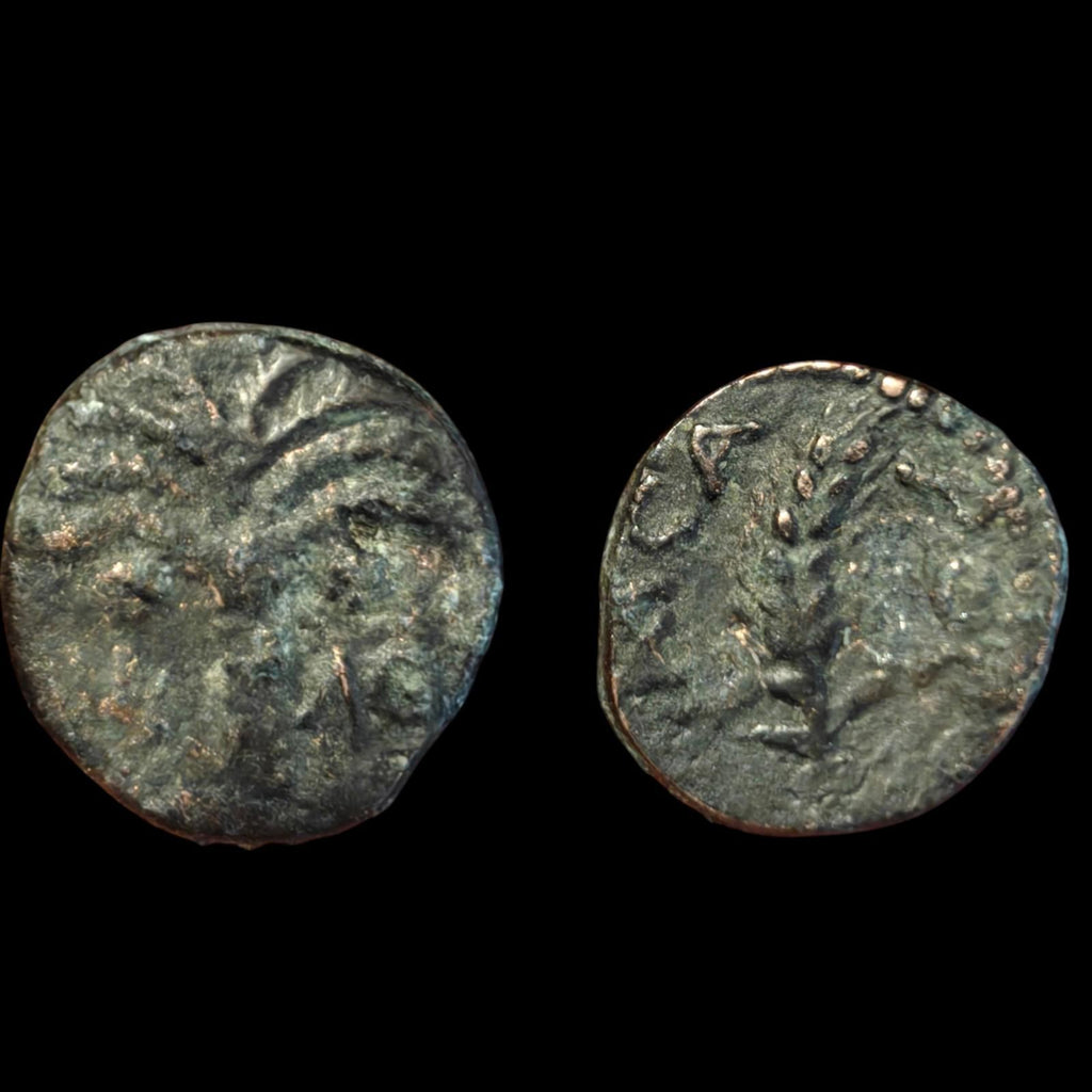 MARCUS AMBIBULUS Augustus Jerusalem Ancient 8-11AD BIBLICAL Roman Coin