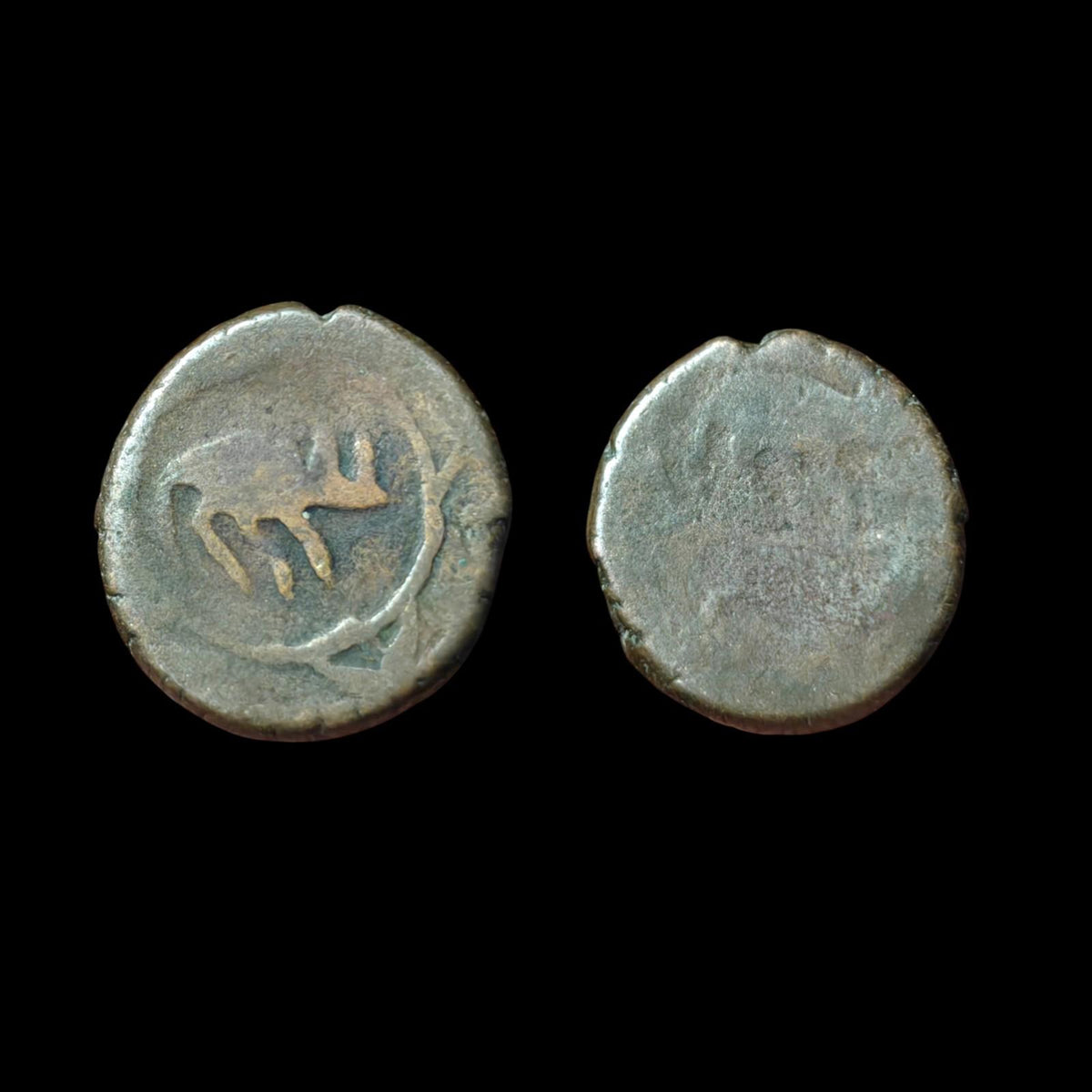 ISLAMIC AFGHAN CIVIC COPPER AE FALUS  Herat Animal Type' Rat! Zeno#263418