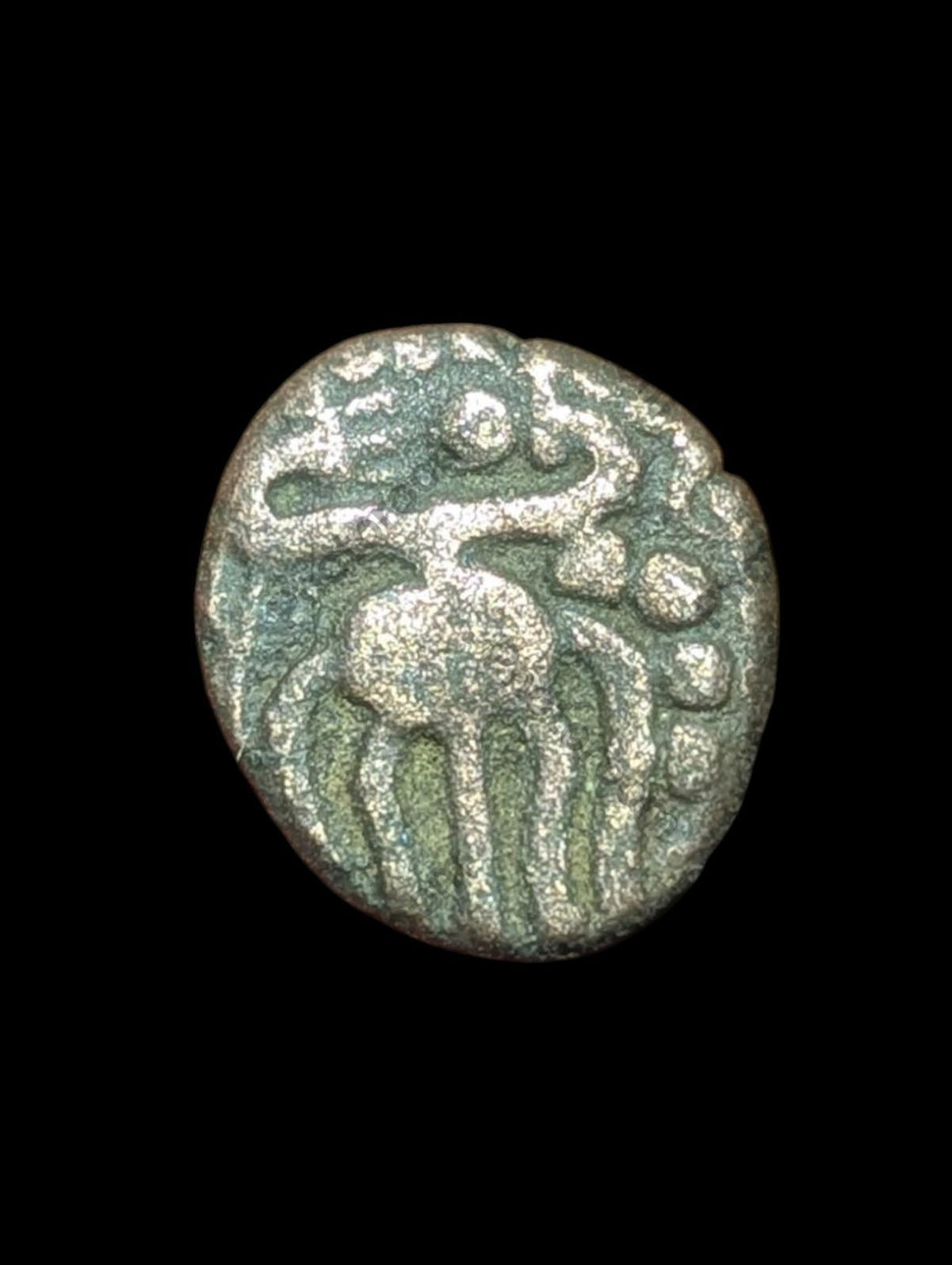 India IPS Tinnevelly Kasu Perunjinga Pallavas Sendamangalam 1228-1278.