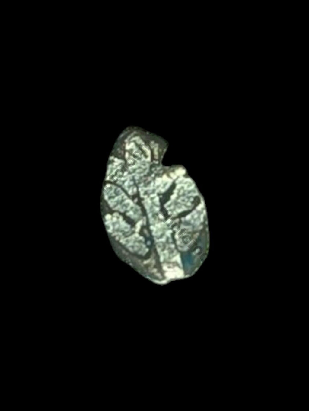 India Bengal INDUS Valley Mayuriyan Punch silver Coin 300 BC PLANT Symbol ☘️