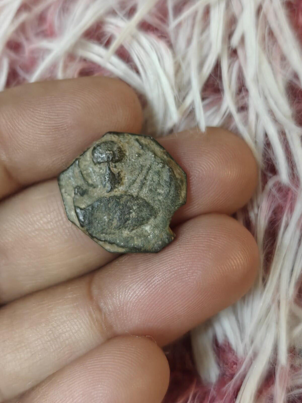Follis en bronze croisé Tancrède Croix de Saint-Pierre KM BA Monnaie médiévale Europe
