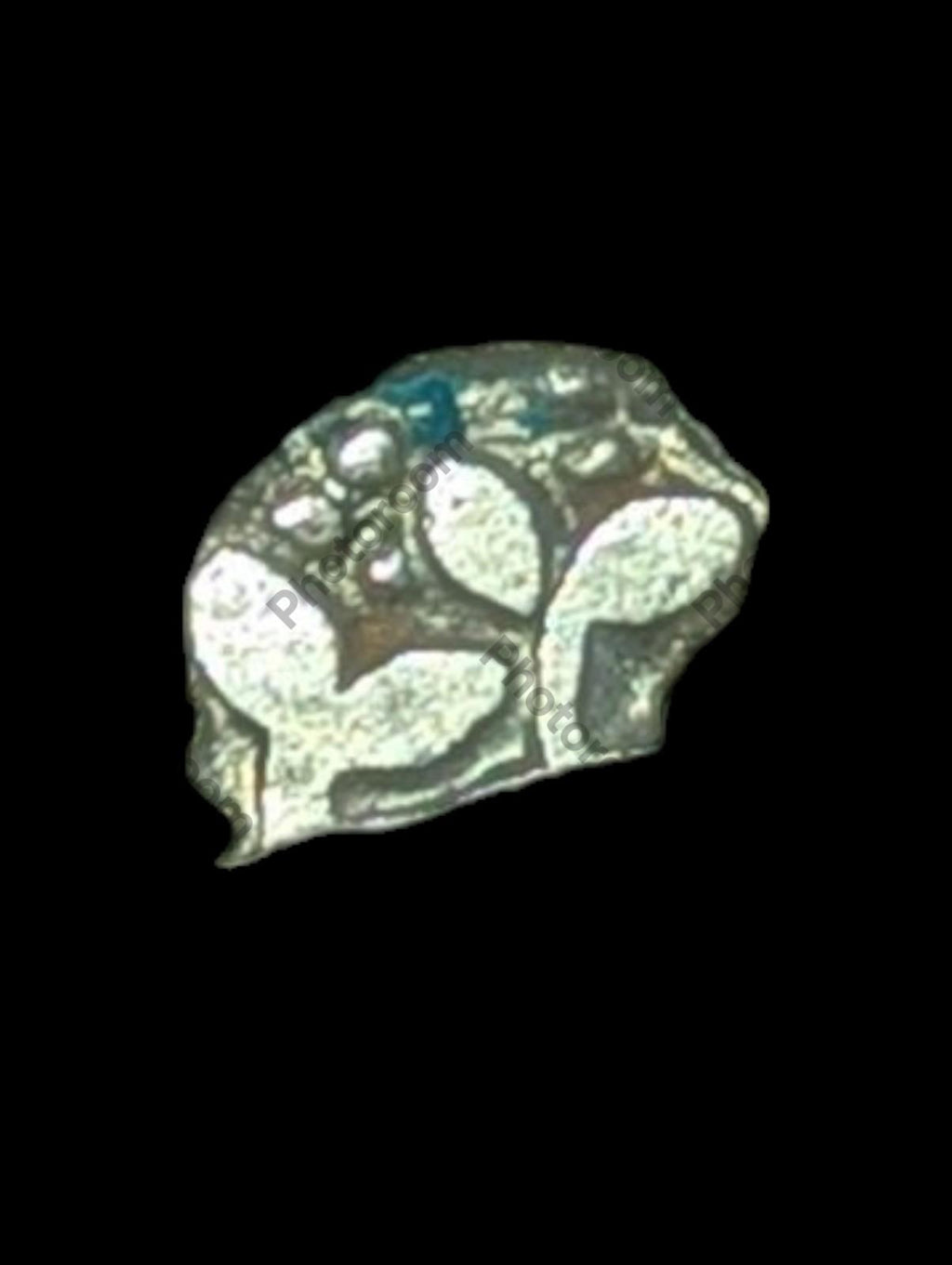 Inde Bengale Vallée de l'Indus Pièce de monnaie en argent poinçonnée Mauryan 300 av. J.-C. Symbole VÉGÉTAL ☘️
