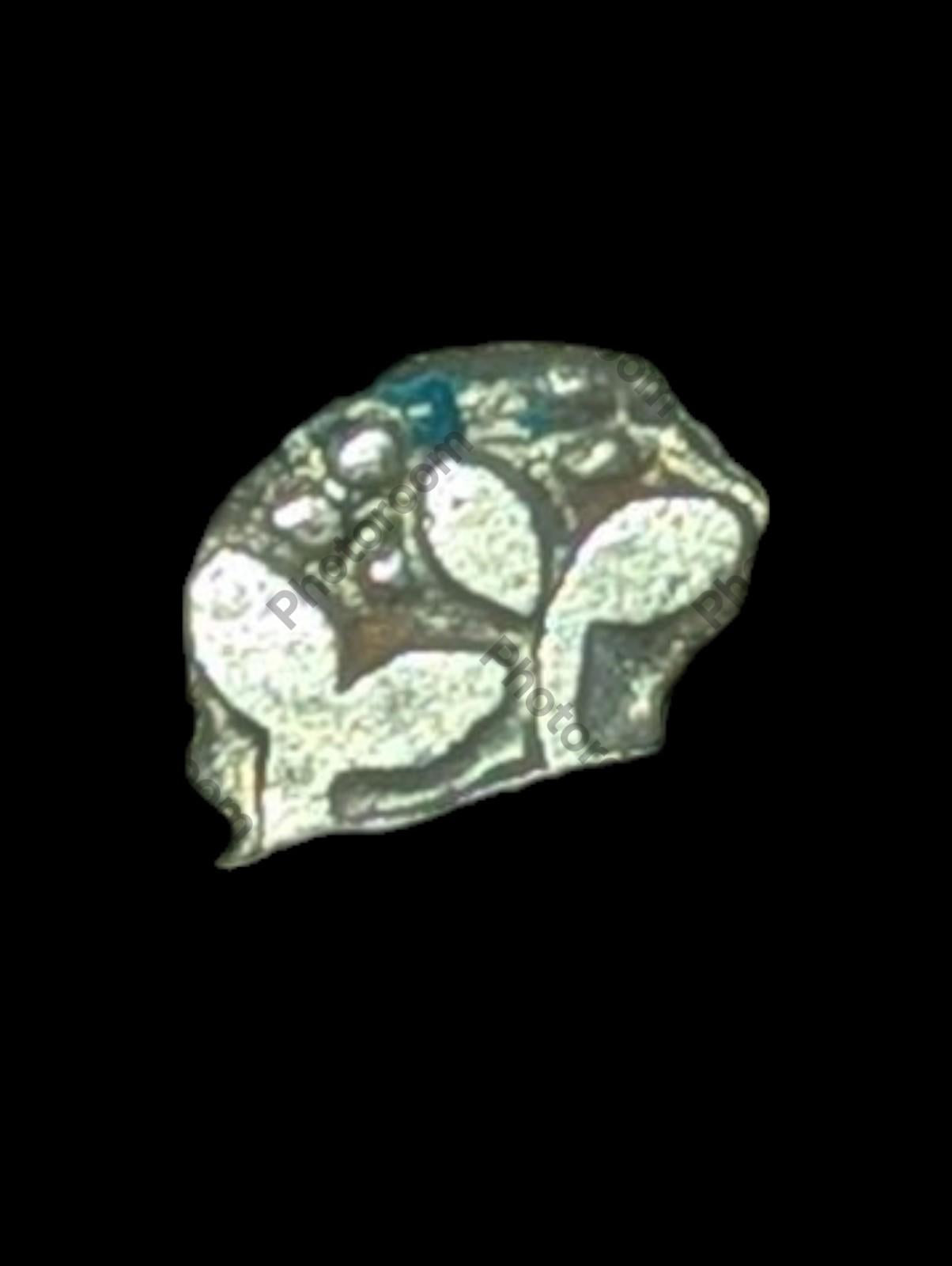 Inde Bengale Vallée de l'Indus Pièce de monnaie en argent poinçonnée Mauryan 300 av. J.-C. Symbole VÉGÉTAL ☘️