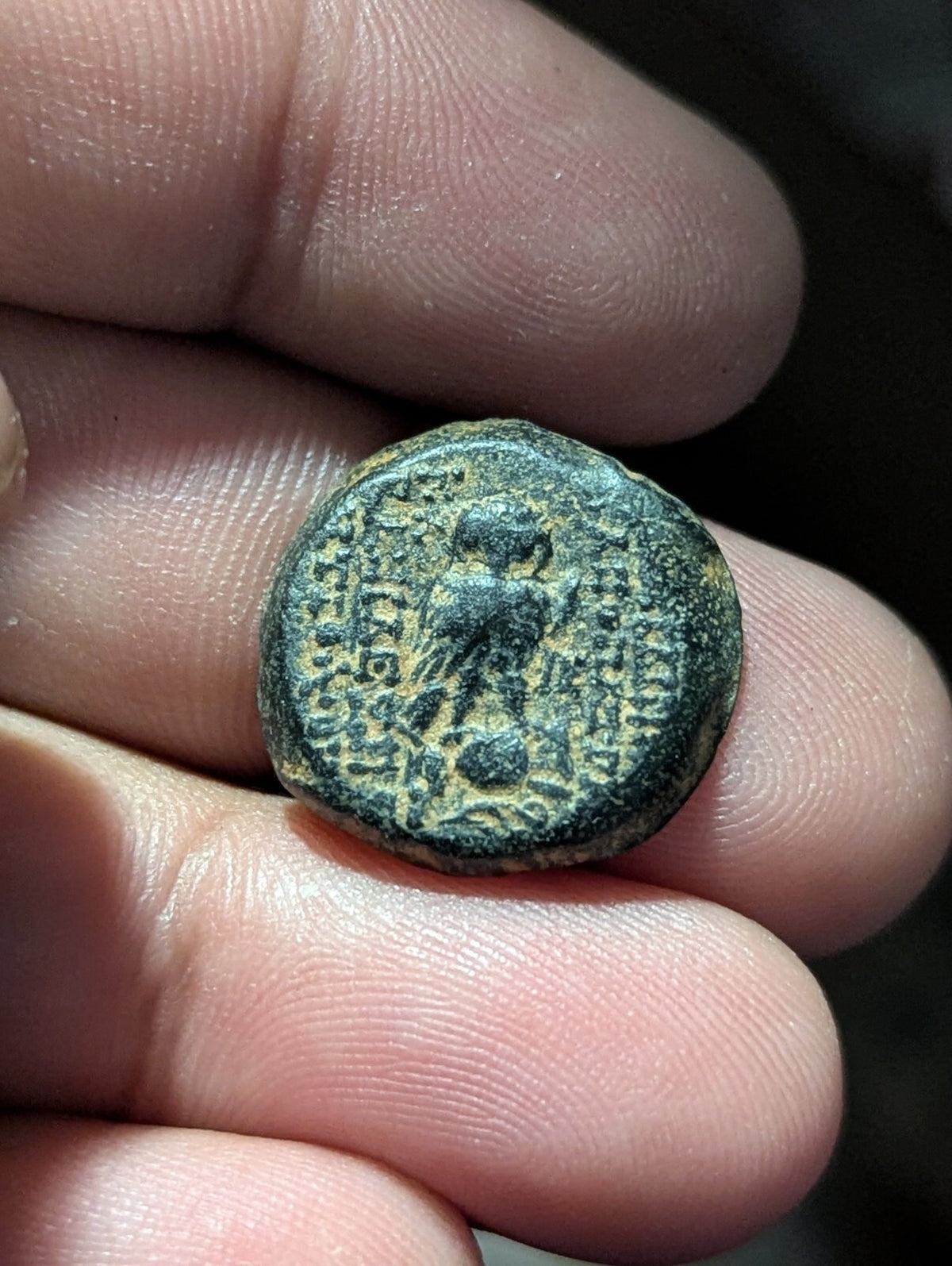 Seleucid Kingdom Cleopatra Thea Antiochos VIII OWL Ancient Greek Coin