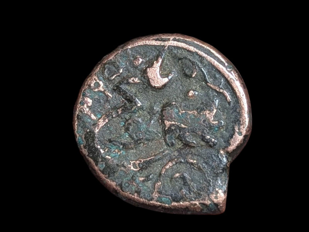 ISLAMIC AFGHAN CIVIC CUIVRE AE FALUS Balkh AH1295 Lion Britannique Rare