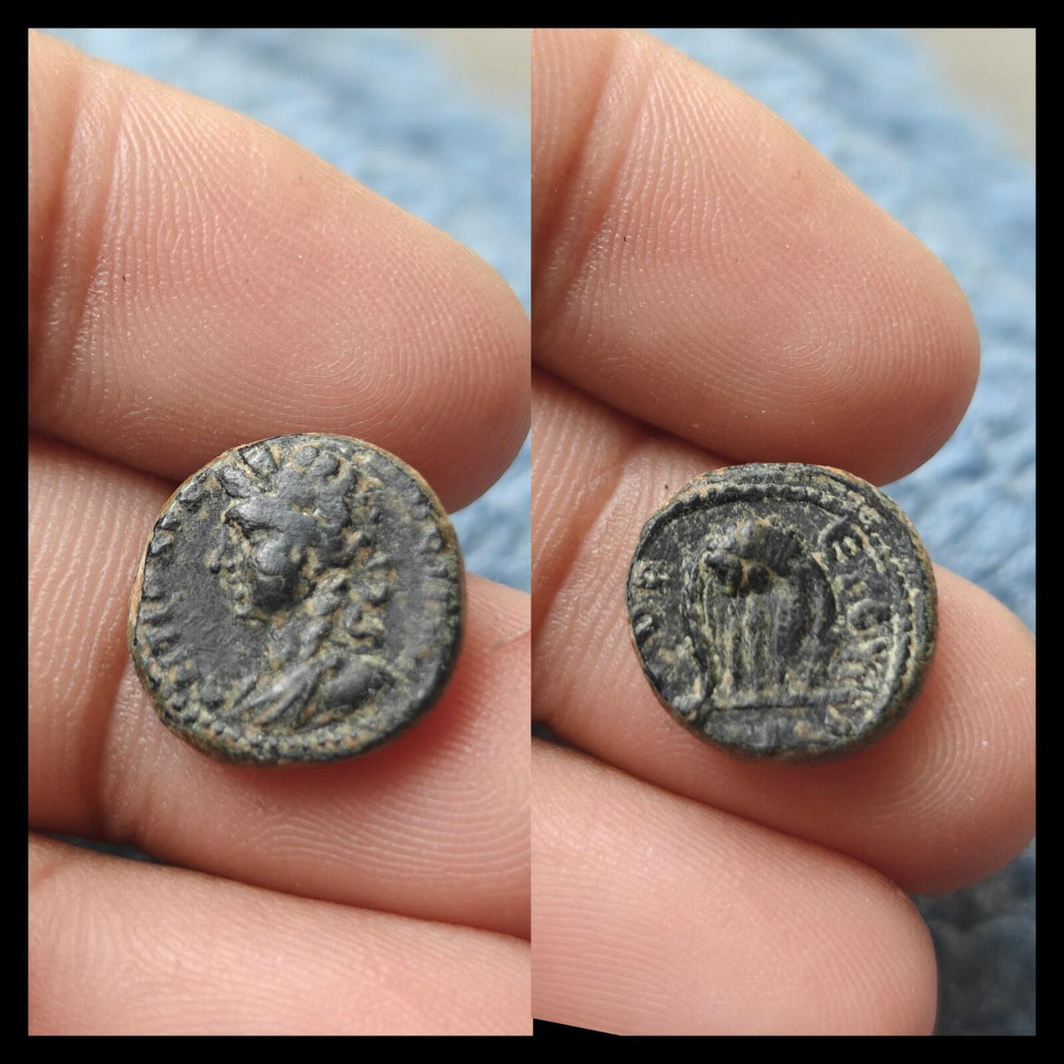 Monnaie romaine AE16 Antioche Bronze pseudo-autonome Lyre 62-63 ap. J.-C. Néron