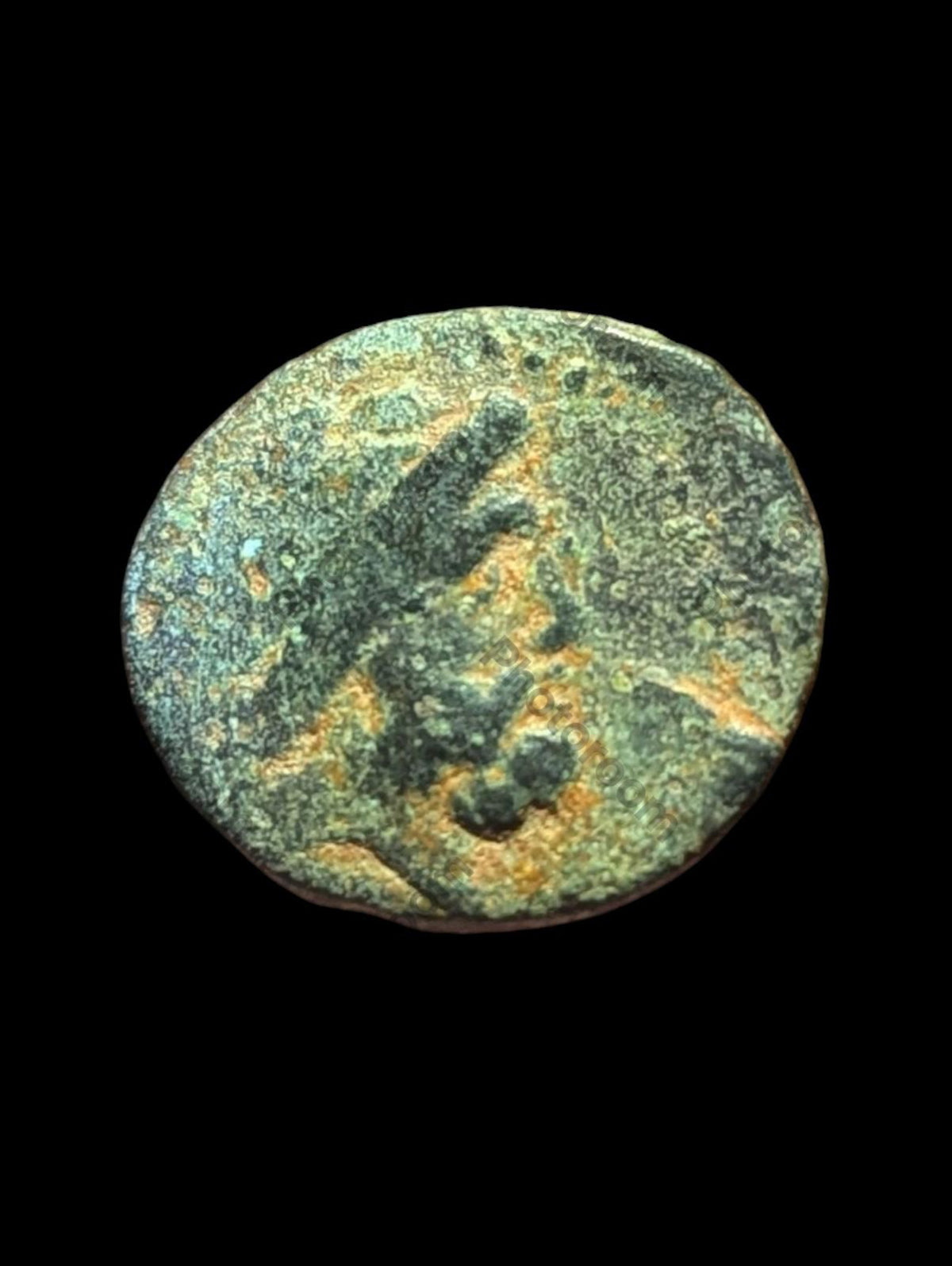 古希腊青铜币 137-51 BC，腓尼基，阿瓦德斯青铜币 SNG-Cop:36 44!