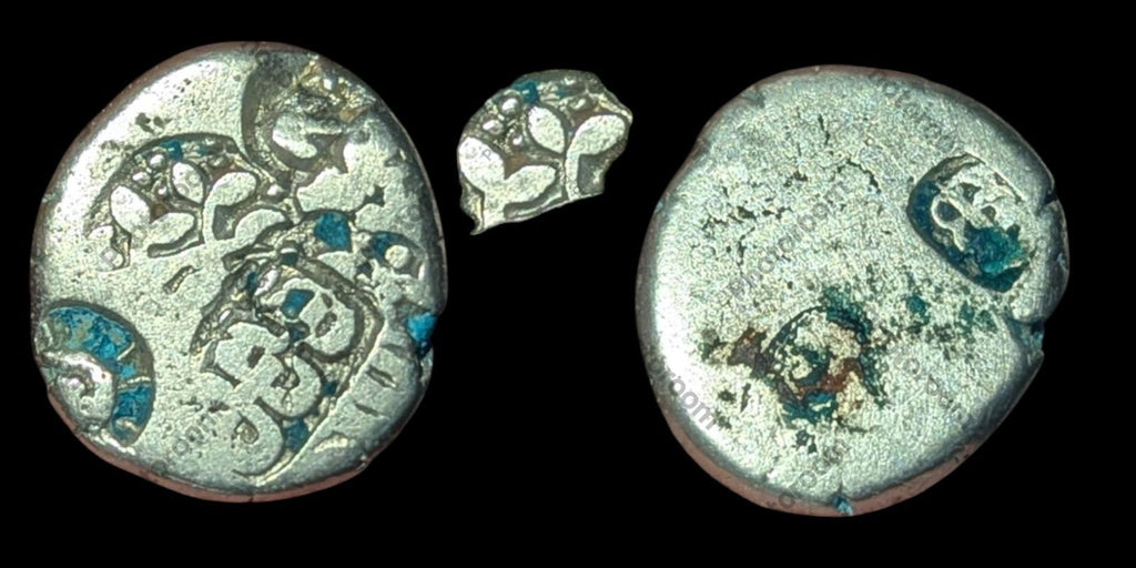 Inde Bengale Vallée de l'Indus Pièce de monnaie en argent poinçonnée Mauryan 300 av. J.-C. Symbole VÉGÉTAL ☘️