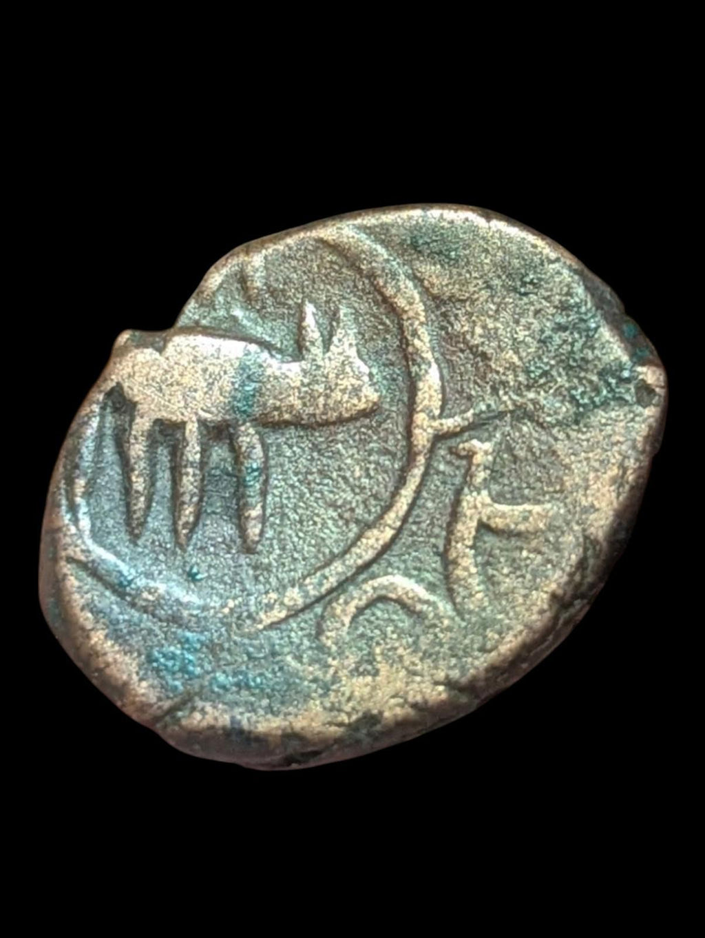 ISLAMIC AFGHAN CIVIC COPPER AE FALUS  Herat Animal Type' Rat! Zeno#263418