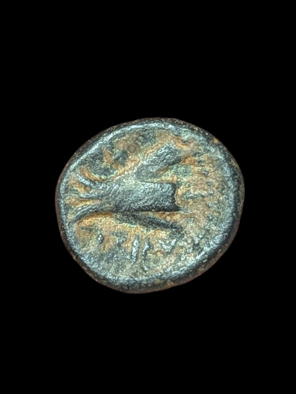 古希腊 青铜 Æ 公元前137-51年 硬币，腓尼基 阿拉多斯 青铜 SNG-Cop:36 44!