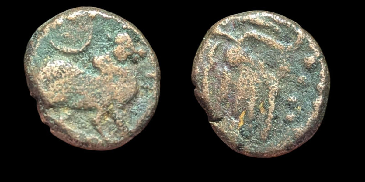 India IPS Tinnevelly Kasu Perunjinga Pallavas Sendamangalam 1228-1278+