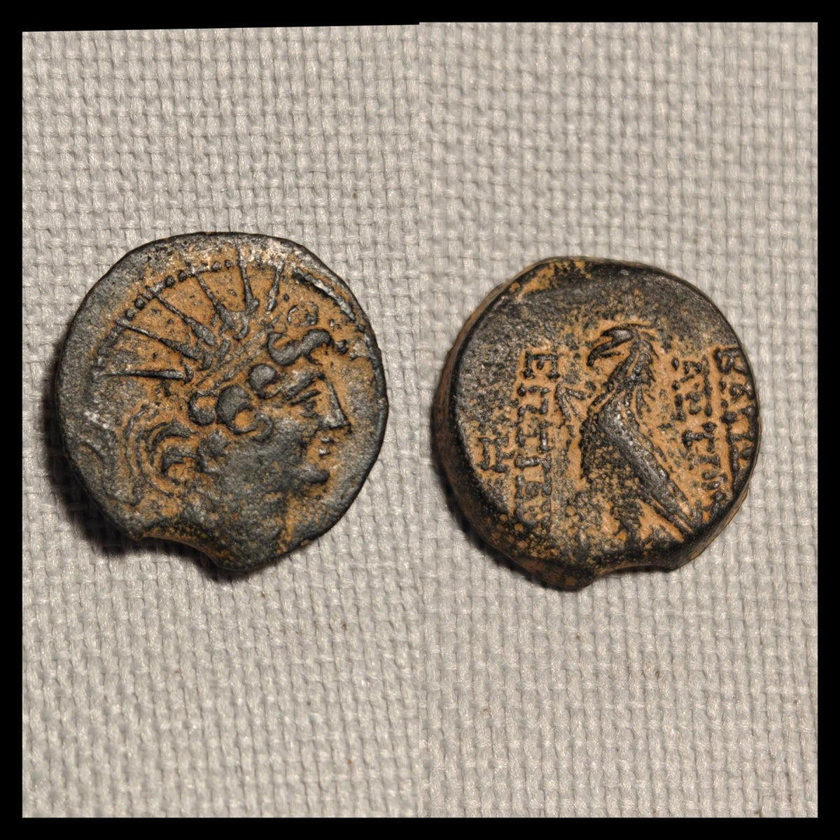 Antiochos VIII Grypos Royaume séleucide 121 av. J.-C. Pièce de monnaie grecque antique Aigle&