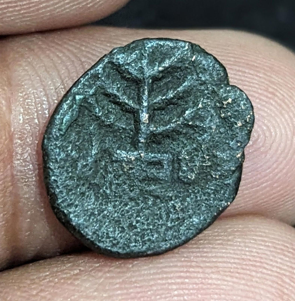 Ancient Taxila city state (Pushkalavati). 185-160 B.C. Æ unit. Rare