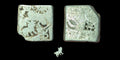 India Bengal INDUS Valley Mayuriyan Punch silver Coin 300 BC LION Symbol