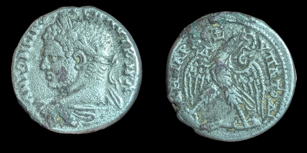 CARACALLA Authentic Ancient 215AD Antioch Tetradrachm Roman Coin EAGLE 11.5 G
