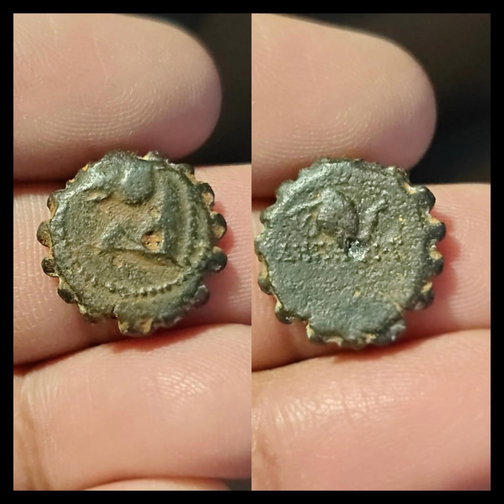 塞琉古王国，青铜币17。德米特里一世·索特尔，公元前162-150年。马与象头。