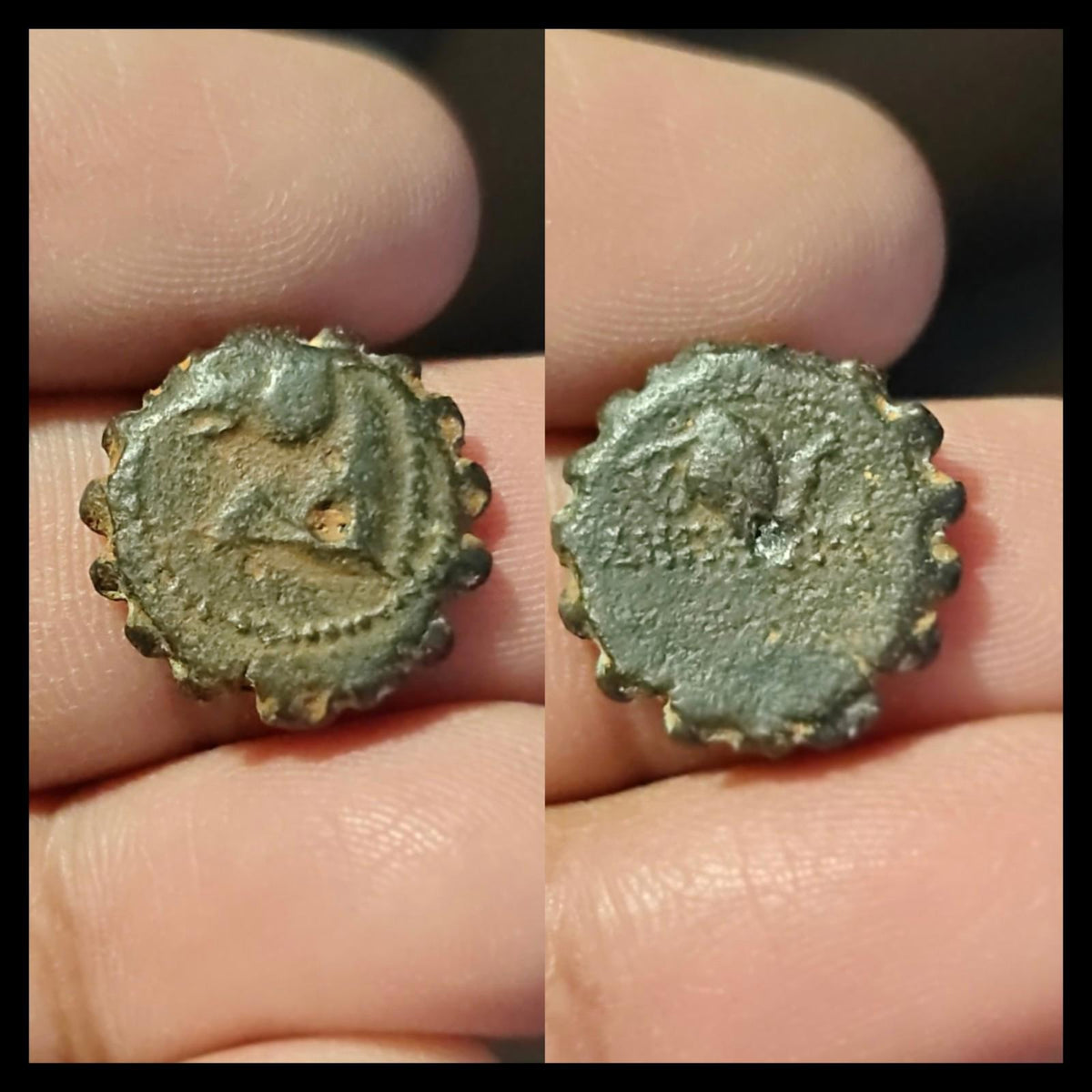 塞琉古王国，青铜币17。德米特里一世·索特尔，公元前162-150年。马与象头。