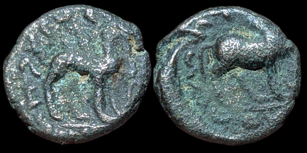 Inde Empire kouchan Vima Kadphisès Æ Chameau Vers 100-127 après J.-C. Chameau/taureau