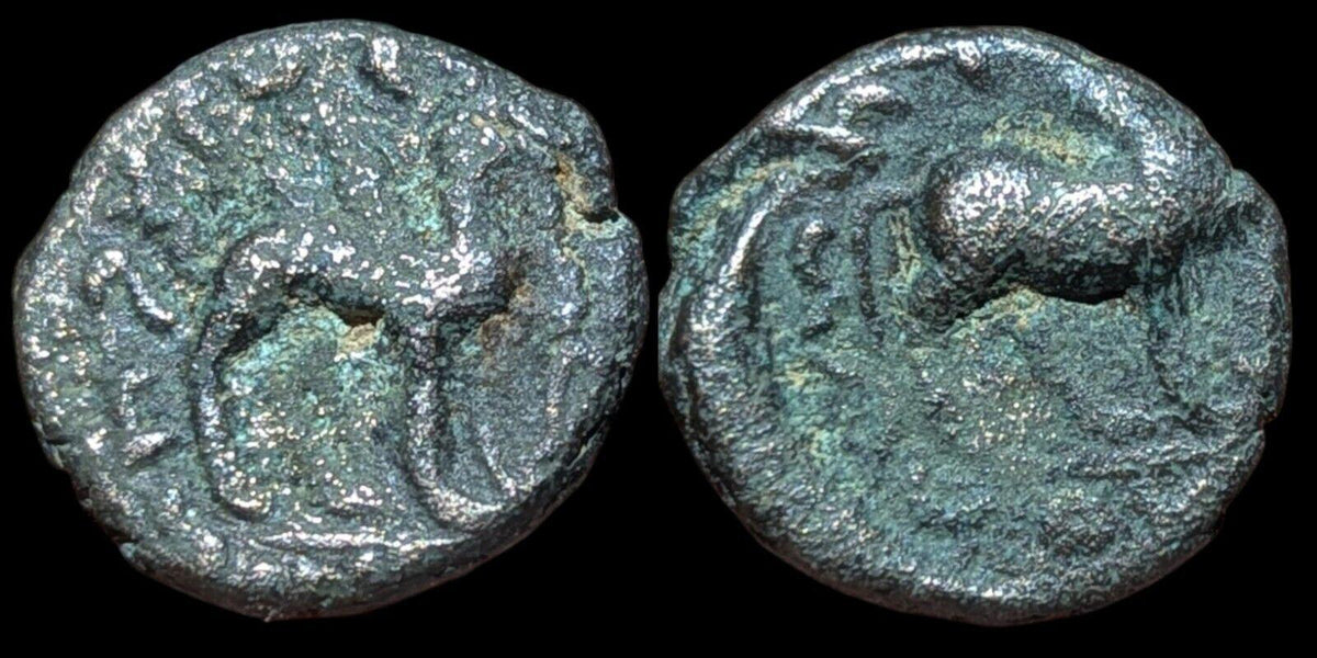 Inde Empire kouchan Vima Kadphisès Æ Chameau Vers 100-127 après J.-C. Chameau/taureau