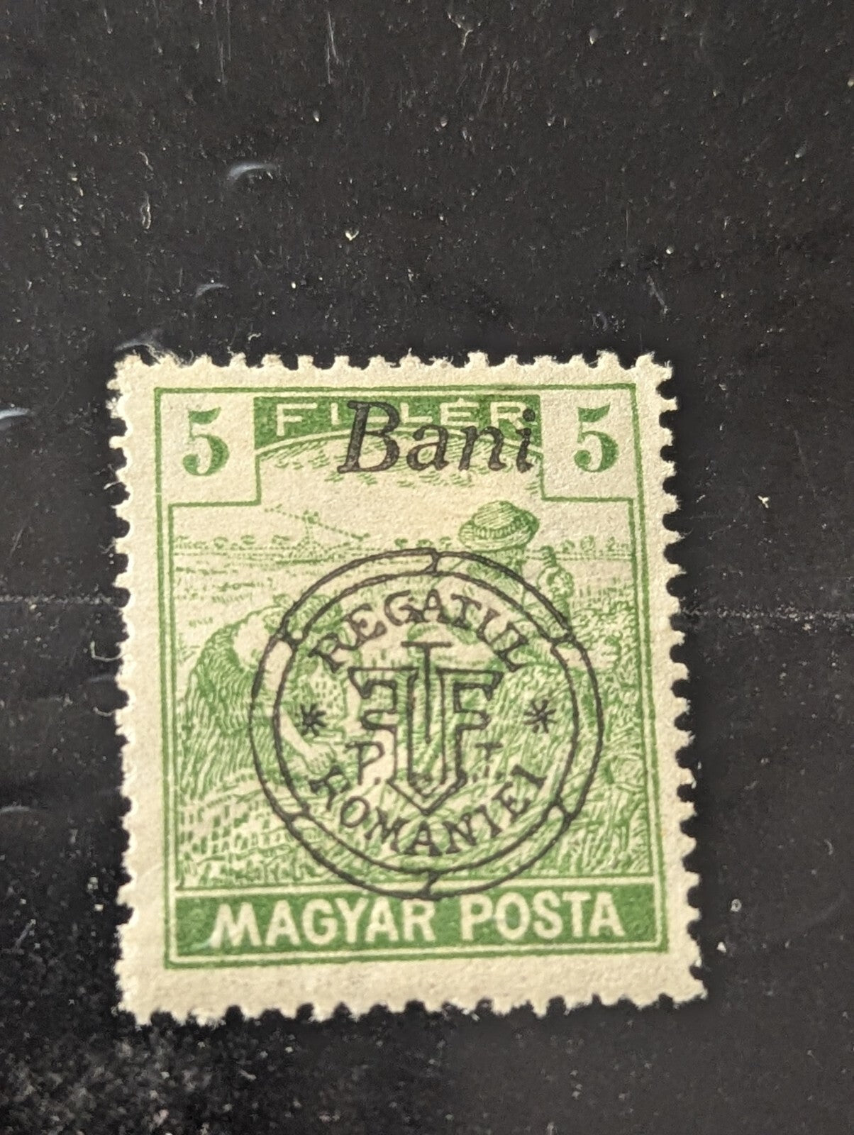 Romanian Hungary 1919 Oradea MAGYAR POSTA 5B,Ist. Ed. MNH, OG GENUINE
