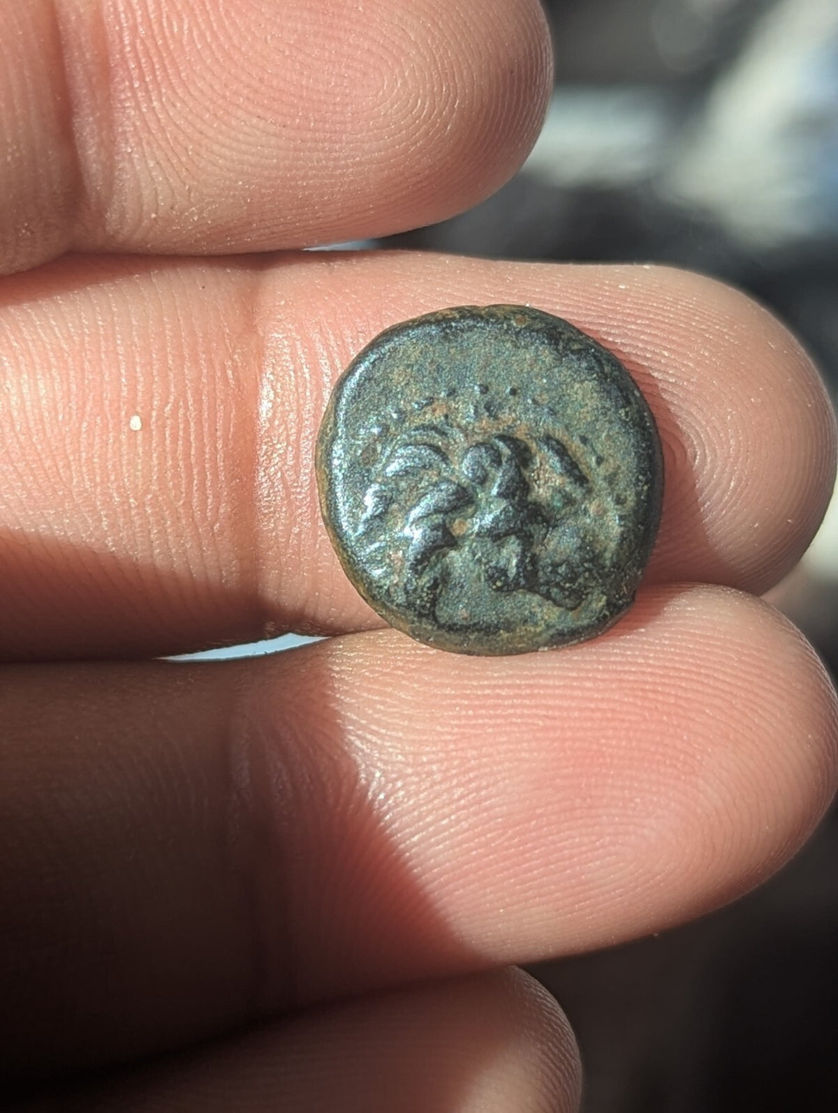 ANTOCHOS VII Seleucid Ancient Greek Coin Nemean Lion Hercules Labor
