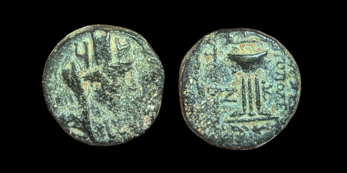 Grèce antique ANTIOCHE SÉLEUCIDE 92 av. J.-C. Pièce de monnaie à tête de Tyché.