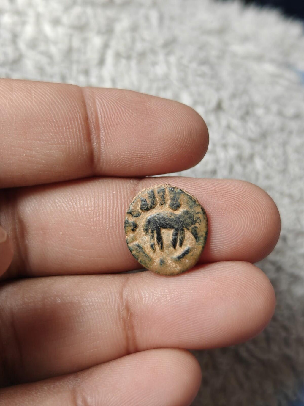 Islamic Umayyad Fals Elephant Type Walker 795 Album 177 Genuine Wow Grade