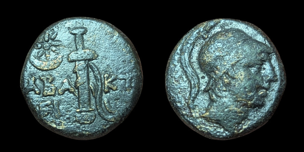 AMISOS en PONT MITHRIDATE VI le GRAND Époque Épée d'Arès Monnaie grecque