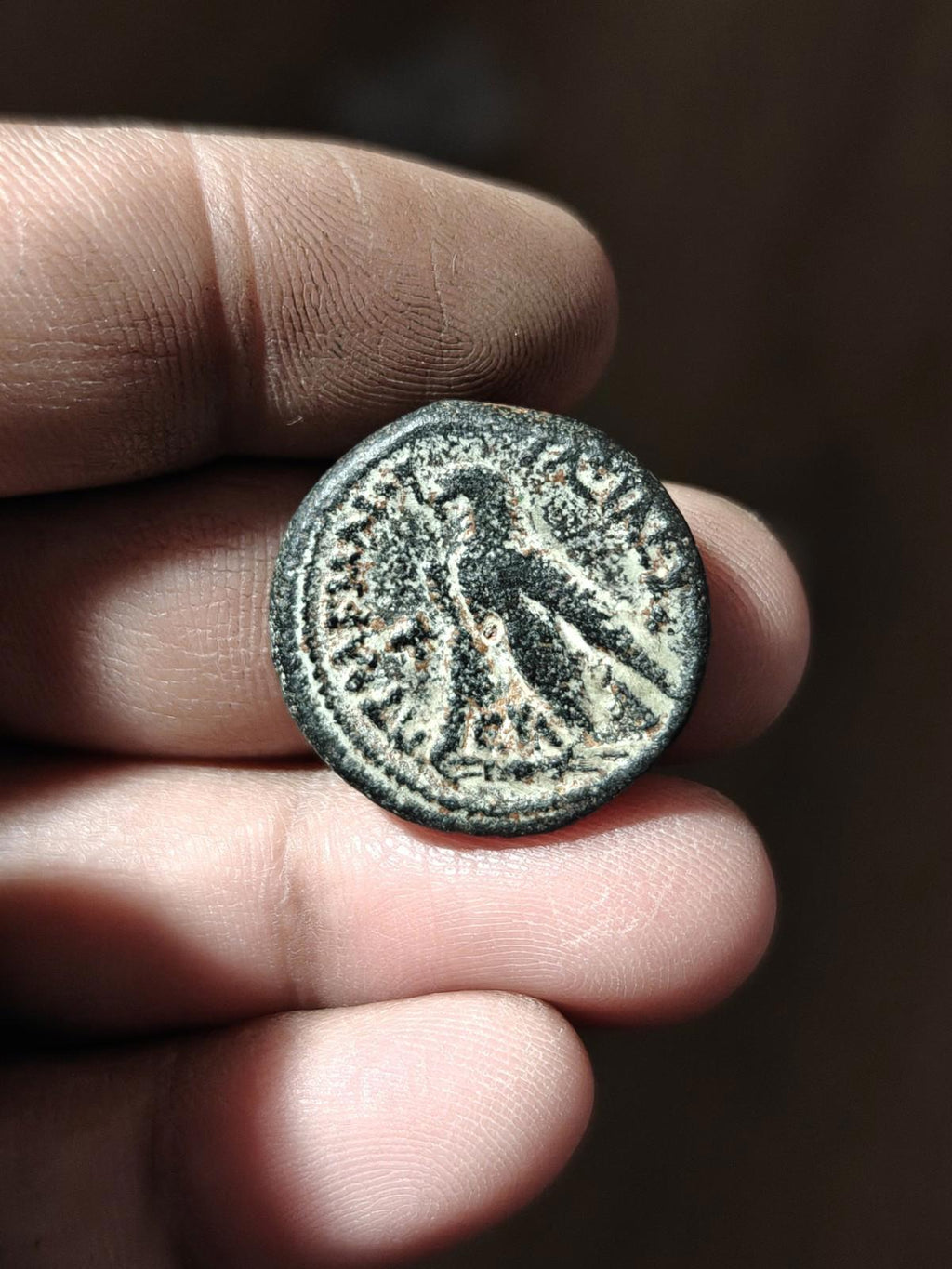 EGYPT. PTOLEMY VI, PHILOMETOR (180-145 B.C) BRONZE COIN Cyprus Mint Scarce Obol#