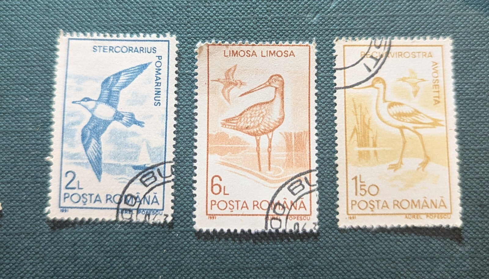 Animals Birds Romania 1991, 3 Pcs Yvert No. 3921 To 3930 Canceled
