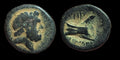 Ancient Greek Bronze Æ 137-51 BC Coin, Phoenicia, Arados, Bronze, SNG-Cop:36-44.