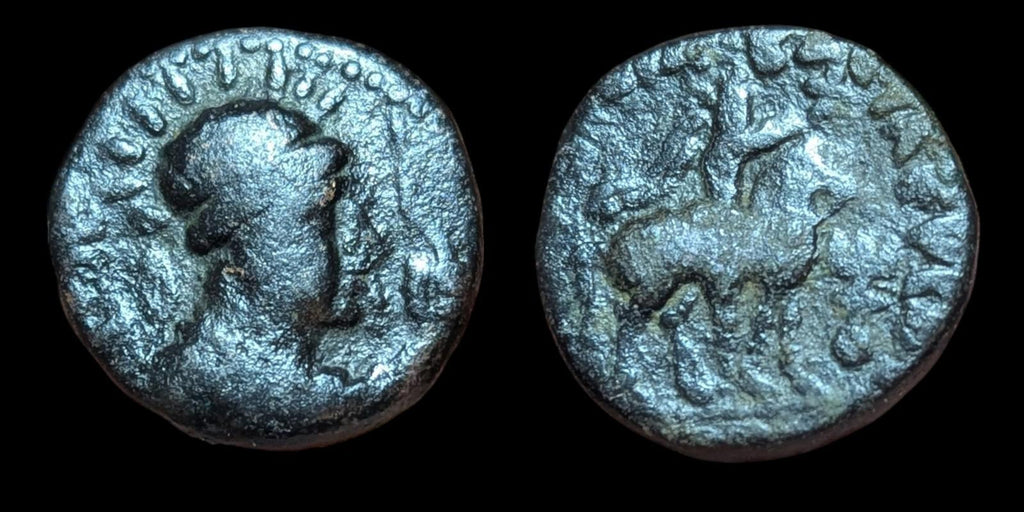 INDE Empire Kouchan ancien Roi Soter Megus Cavalier frappé sur cuivre 8g Rare