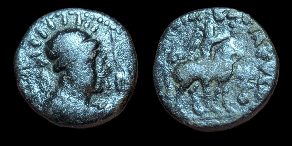 INDE Empire Kouchan ancien Roi Soter Megus Cavalier frappé sur cuivre 8g Rare