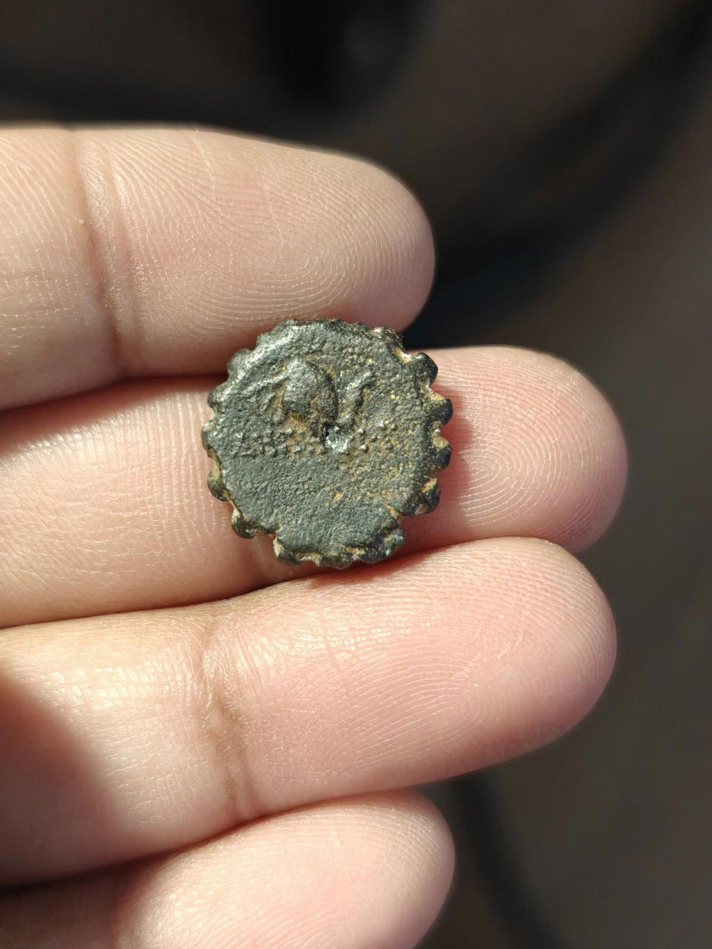 塞琉古王国，青铜币17。德米特里一世·索特尔，公元前162-150年。马与象头。