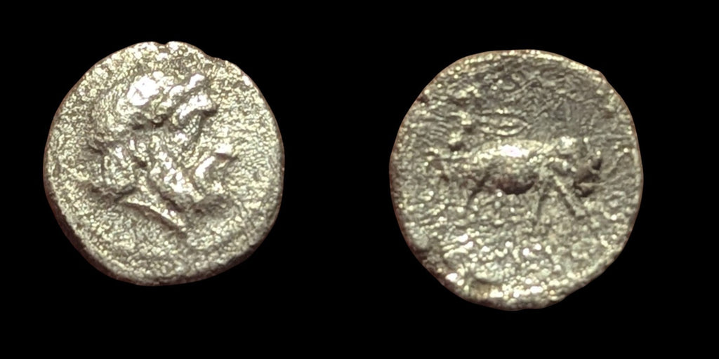 Kingdom of Bactria:  Seleukos I Nikator (Circa 285-280 BC) AR Obol Rare