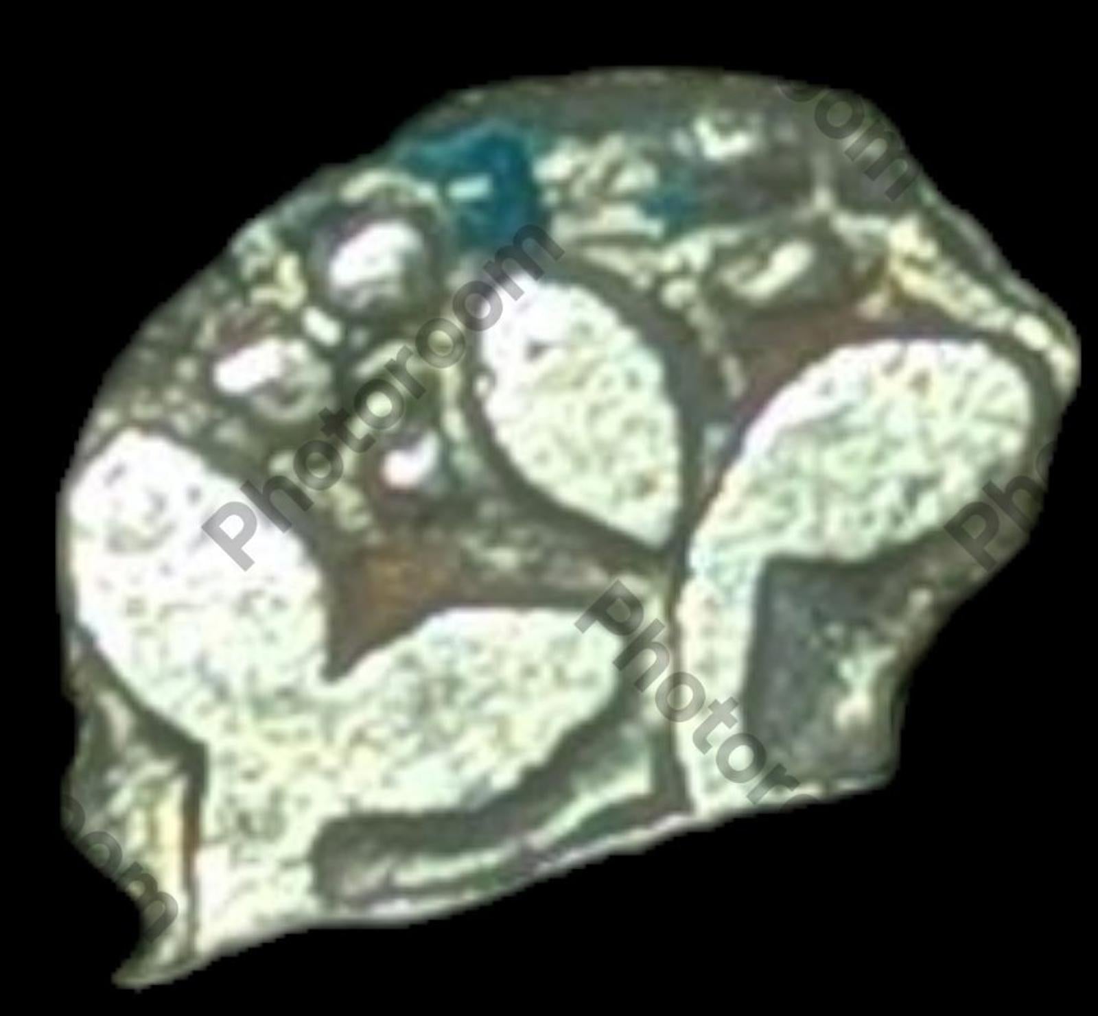 Inde Bengale Vallée de l'Indus Pièce de monnaie en argent poinçonnée Mauryan 300 av. J.-C. Symbole VÉGÉTAL ☘️