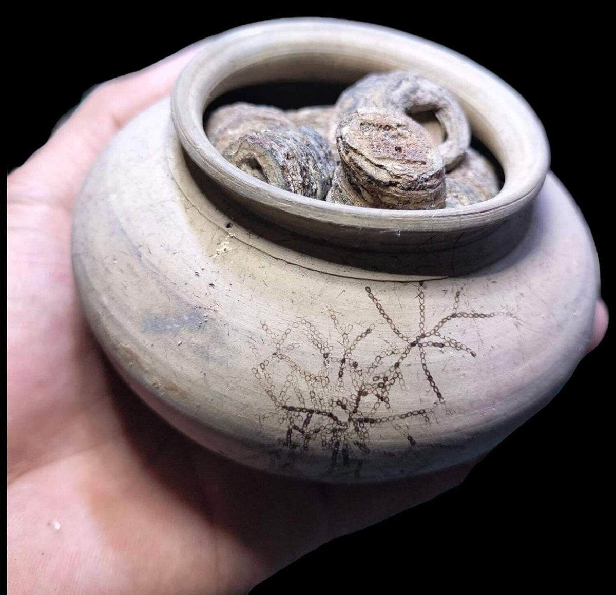 Chinese Pottery With Chinese Cash, Regime Unknown, Shipwreck From JAVA River