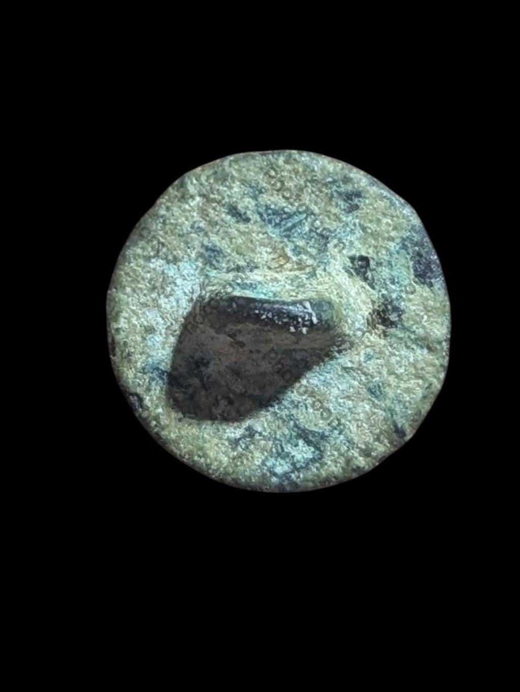 16th / 17th Century Spanish Military Button:  Lion Cote Of Arms Vintage