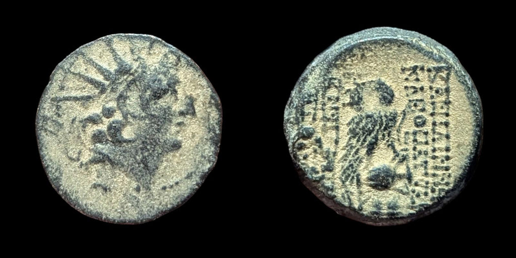 Seleucid Kingdom Cleopatra Thea Antiochos VIII OWL Ancient Greek Coin