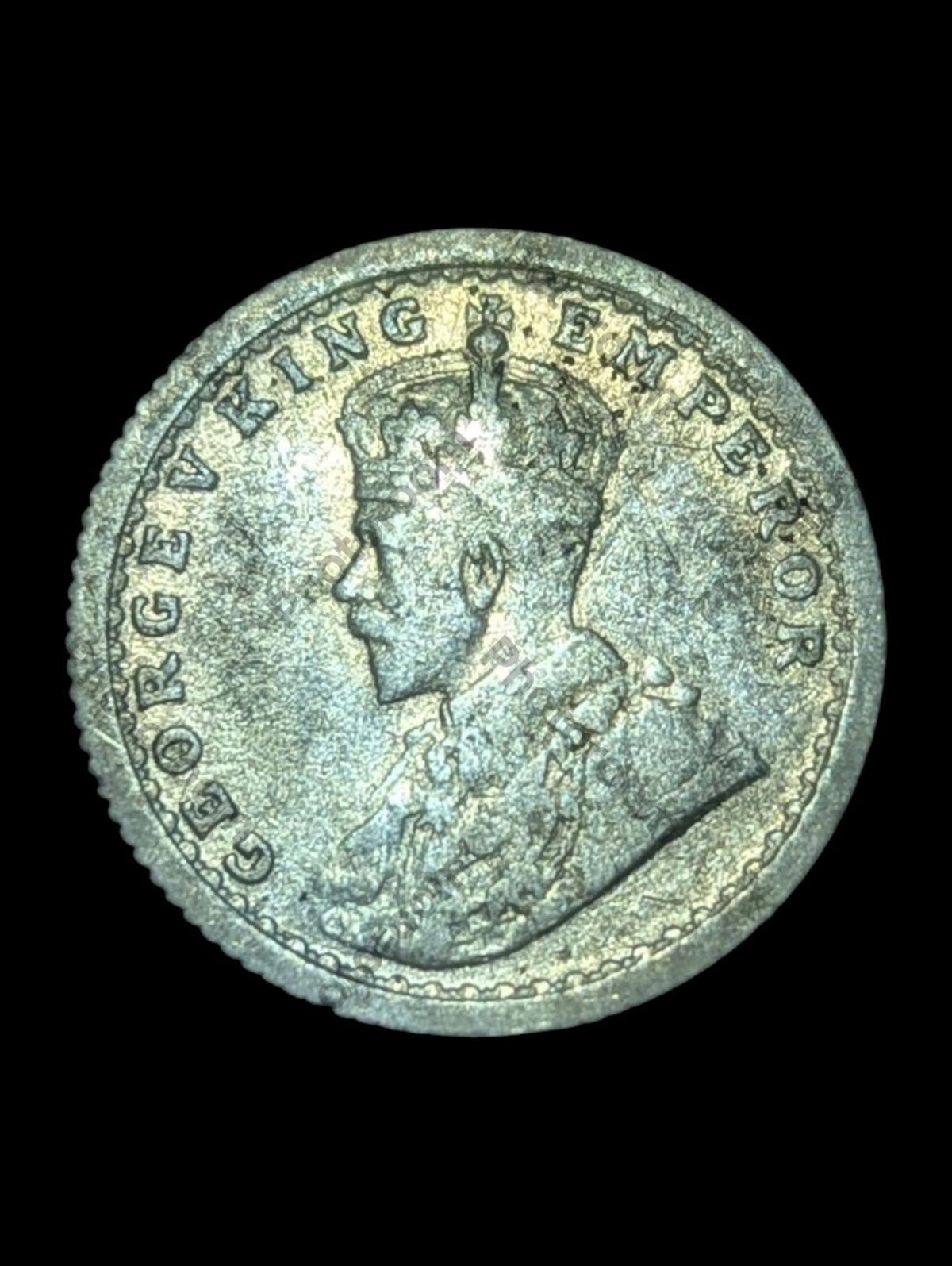 Indes britanniques 1911-C 1/4 roupie "Cochon" Date clé rare