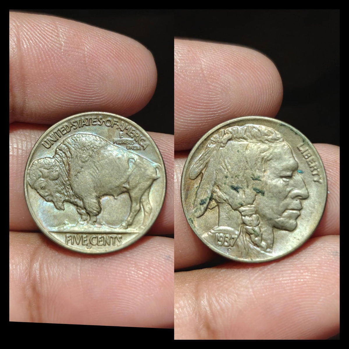 Nickel Buffalo 1937-D - GEM Lustre Meilleur Grade