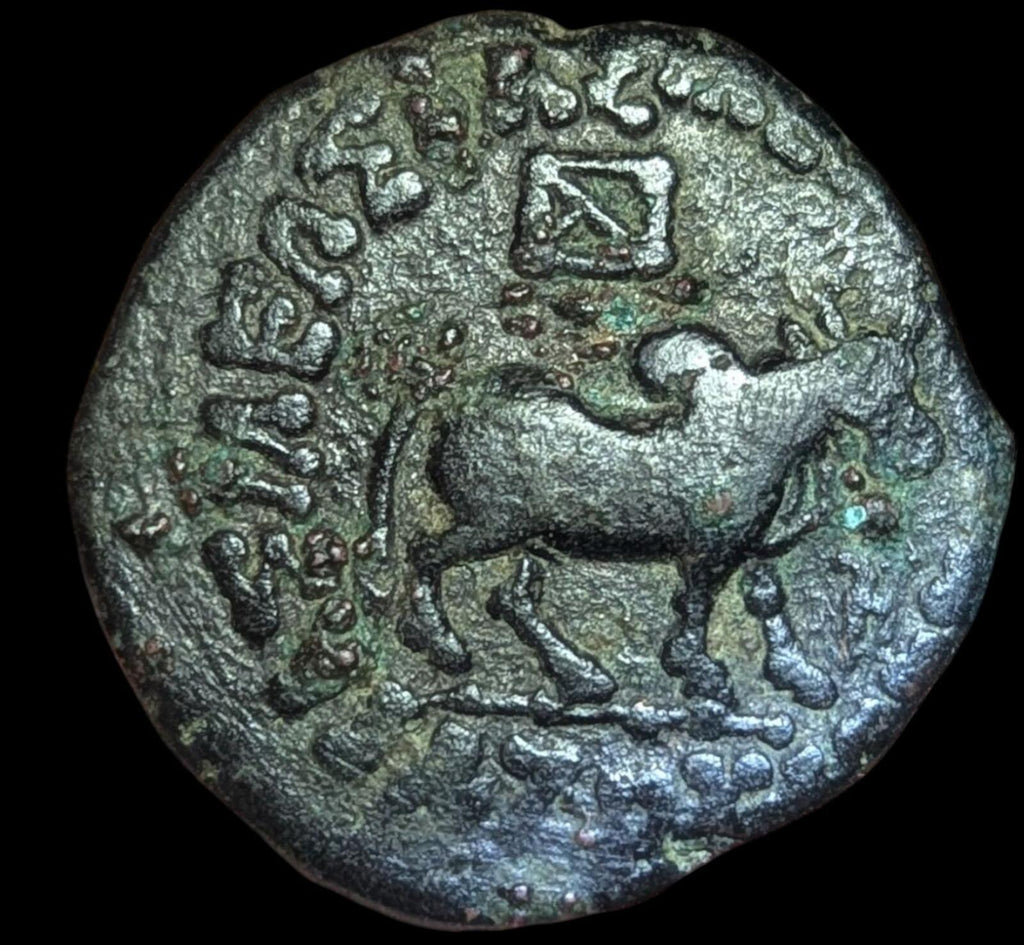 Royaume indo-scythe, Azes I - Ancienne pièce de monnaie grecque authentique, Bœuf, Lion