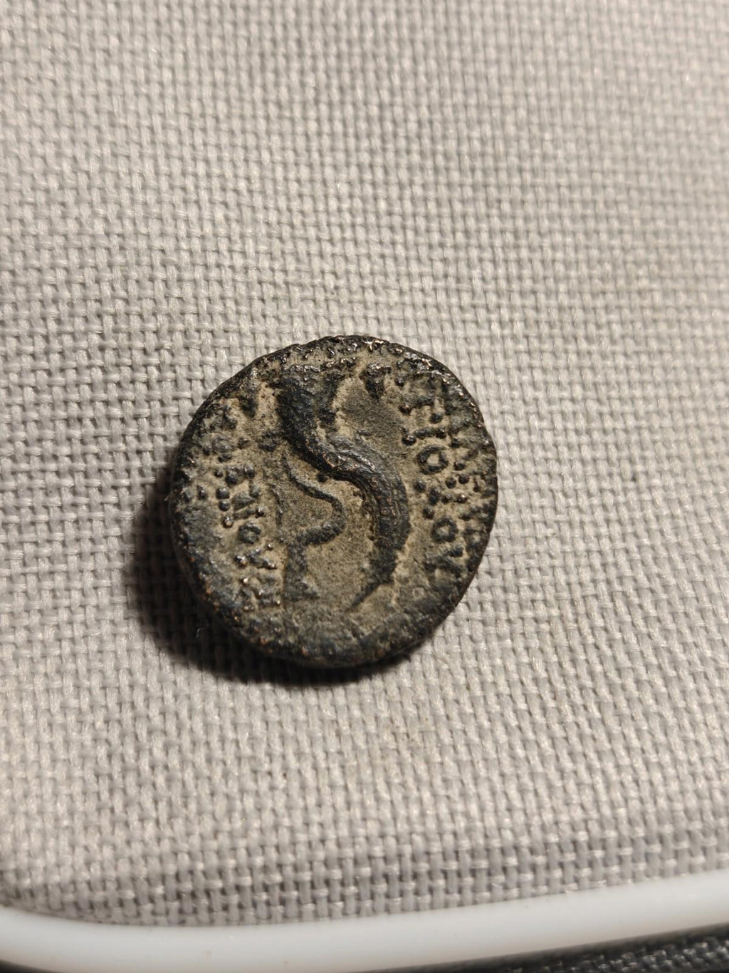 Antiochos VIII Grypos Seleukid Kingdom 121BC Ancient Greek Coin Hook & Nose
