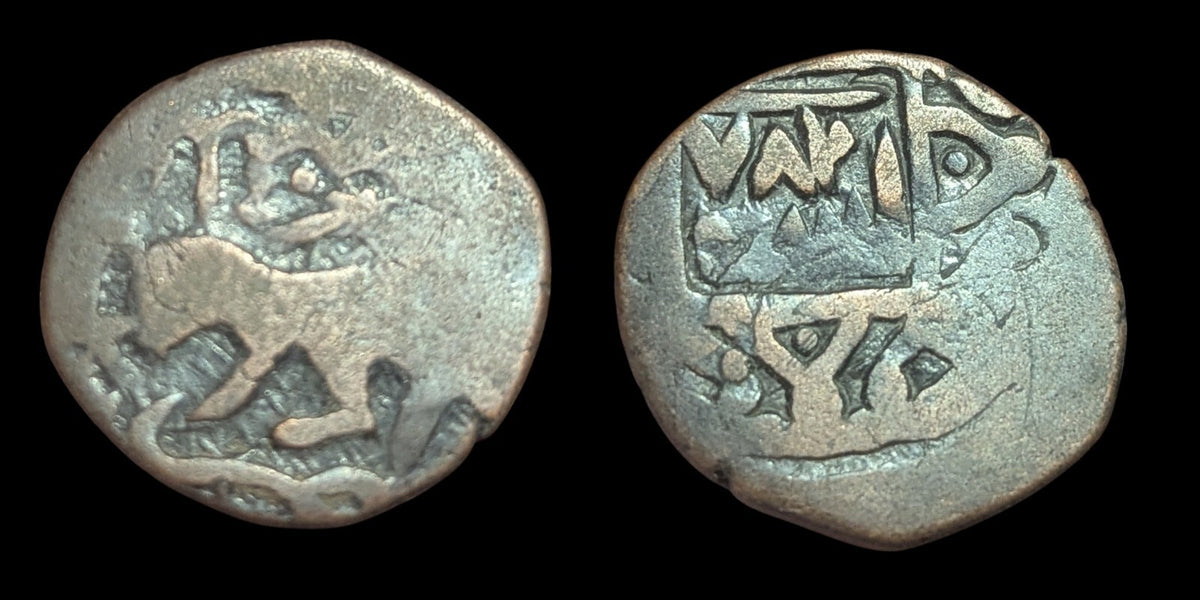 Afghan Copper Falus Herat Mint 1047 Islamic Civic Rare Copper Coin Lion